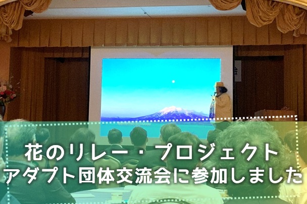 花のリレー・プロジェクト アダプト団体交流会に参加いたしました